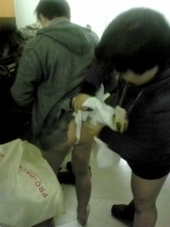 20110224224231.jpg