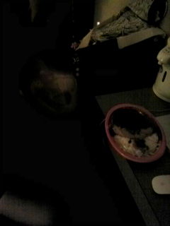 20110225060512.jpg
