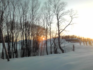 20110228170235.jpg