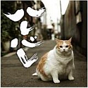 ハレバレ